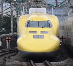 心療内科医